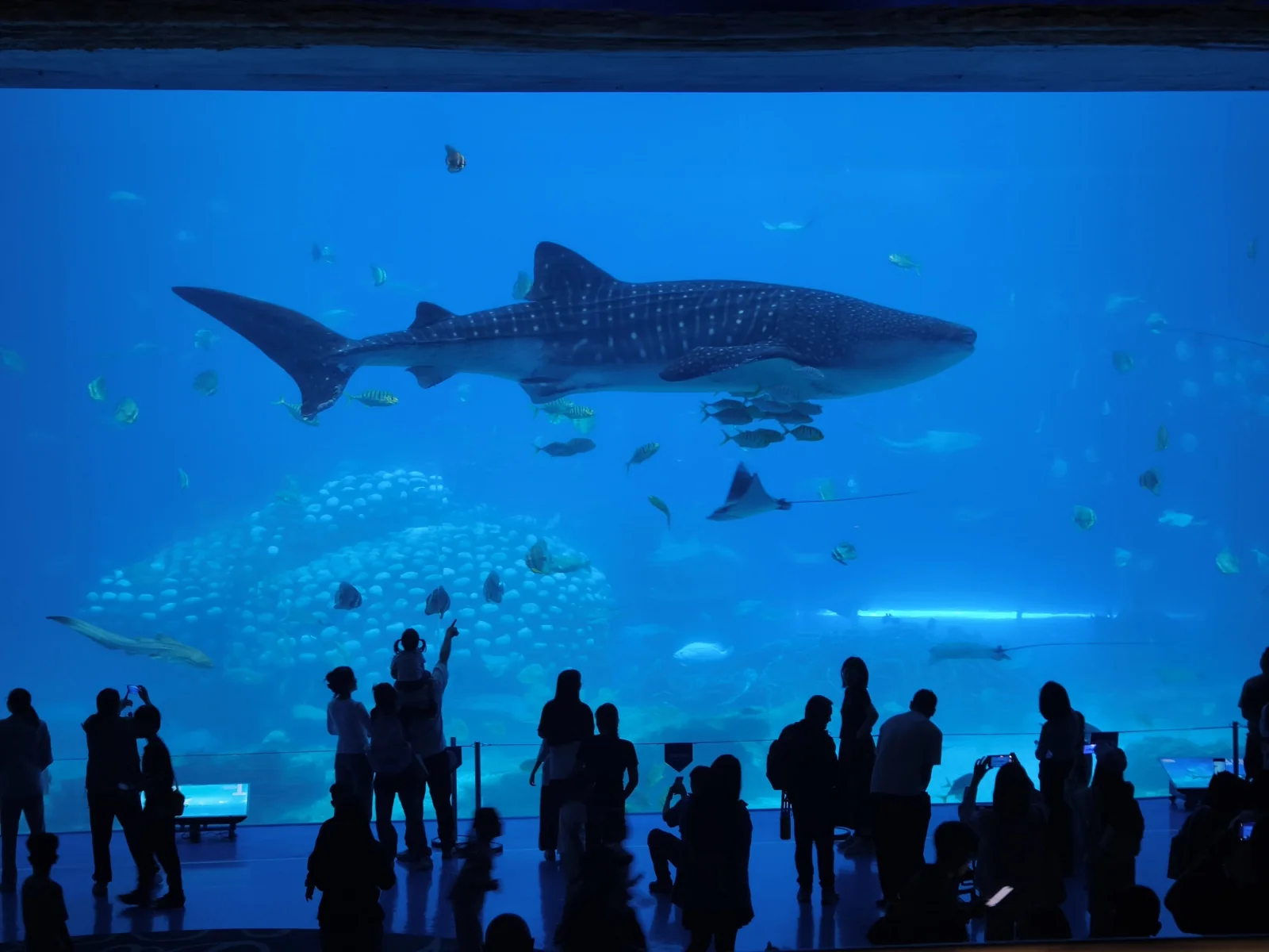 Featured image of post 珠海澳门春节9天8夜