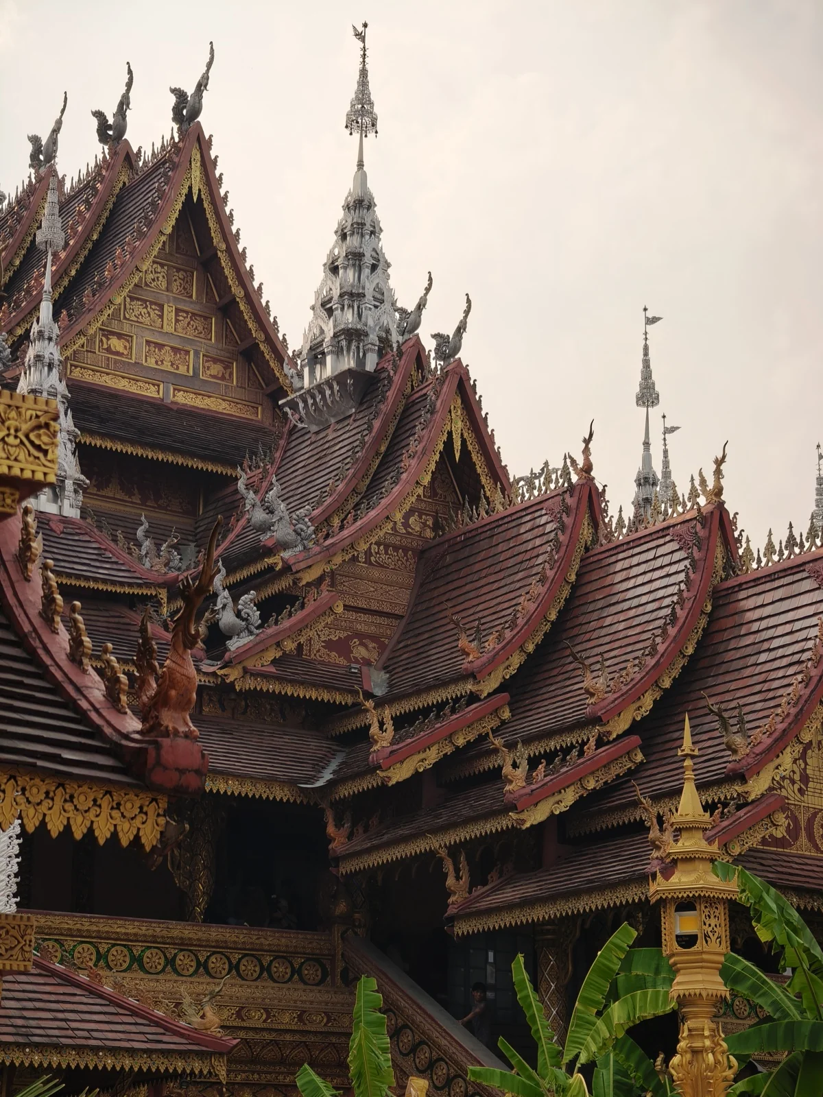 Featured image of post 西双版纳景洪春季休闲6天5夜