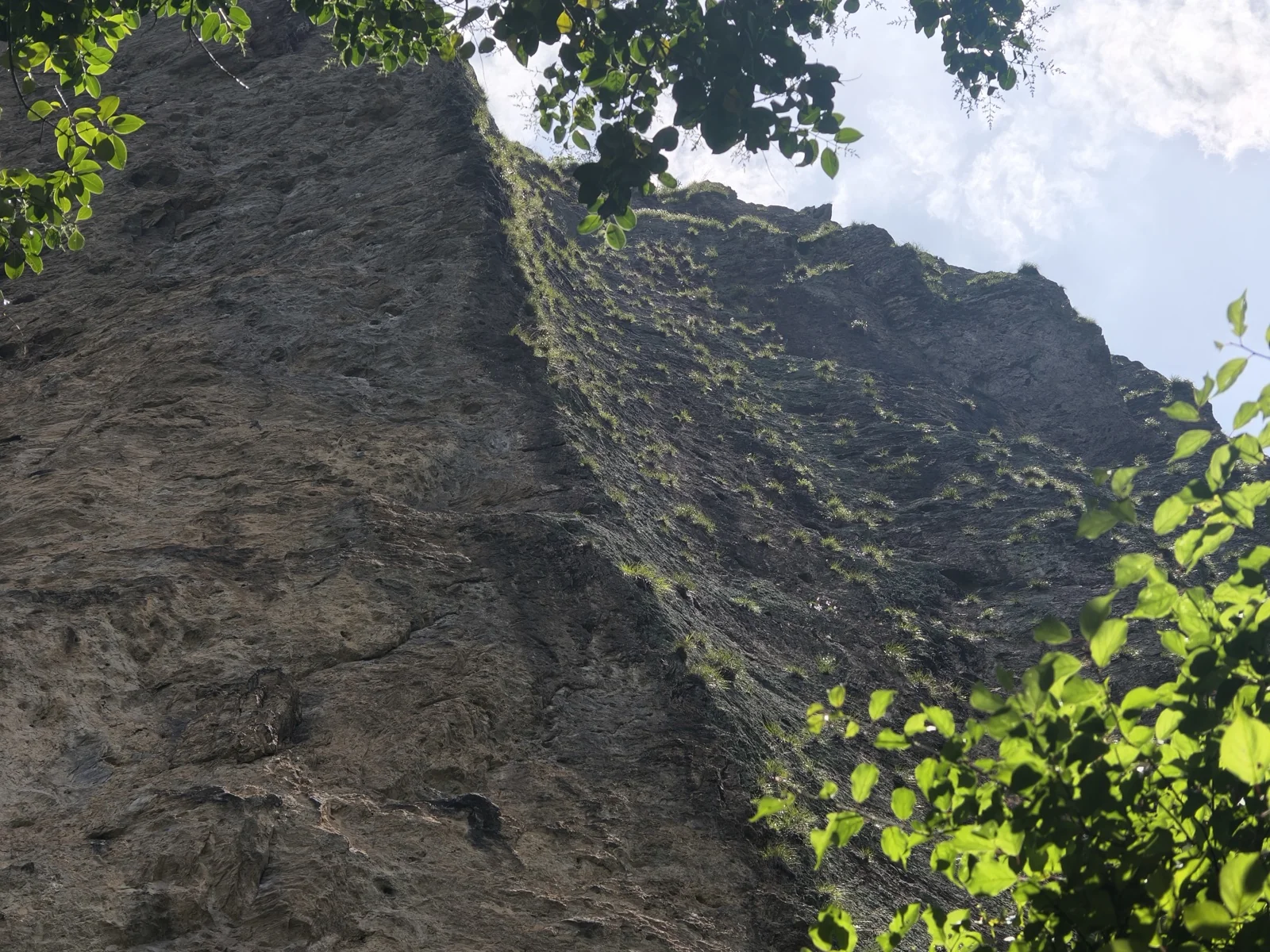 在鼎湖峰脚下仰望其陡峭山体