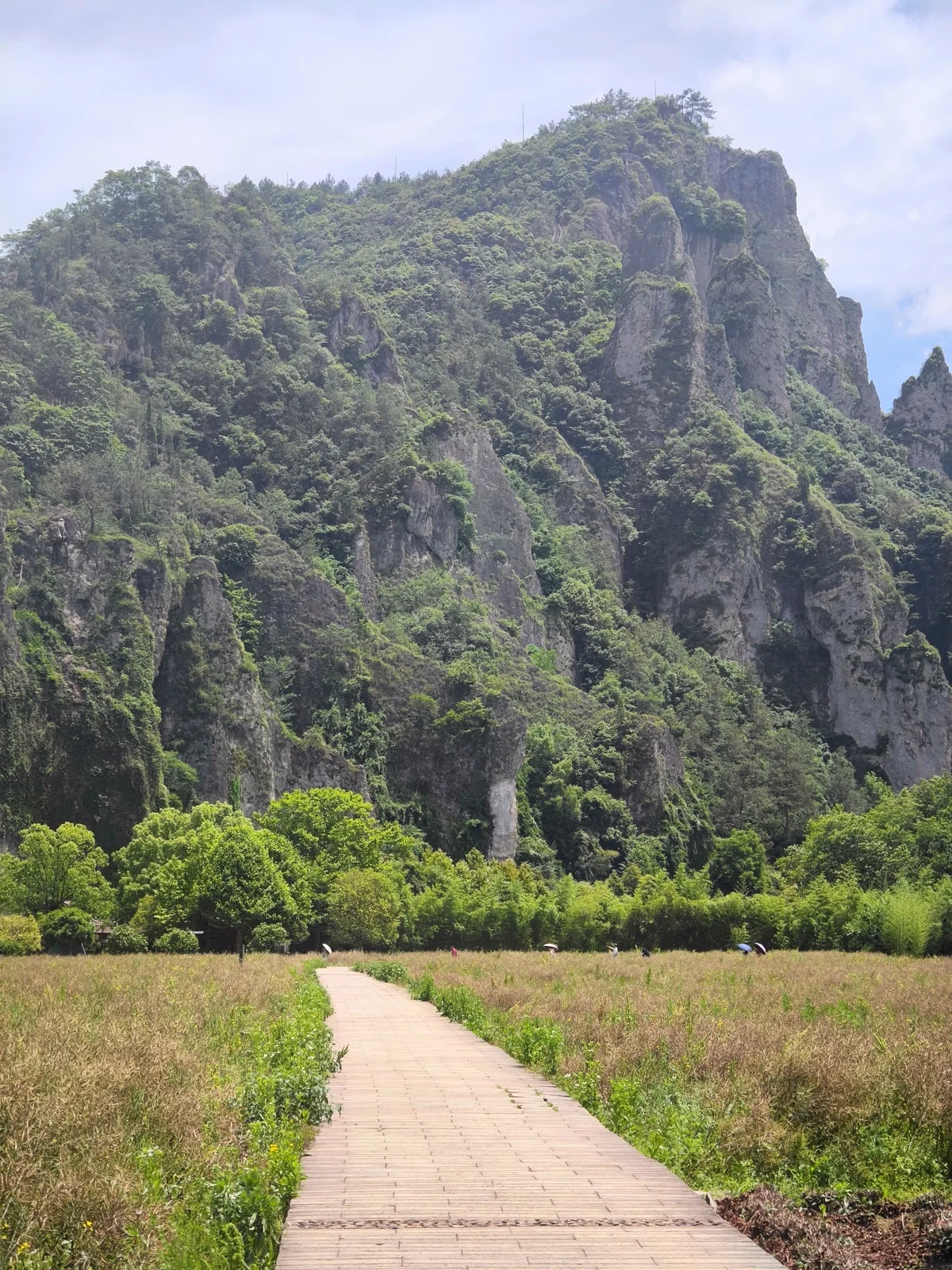 朱潭山对岸田间通向山脚的木栈道