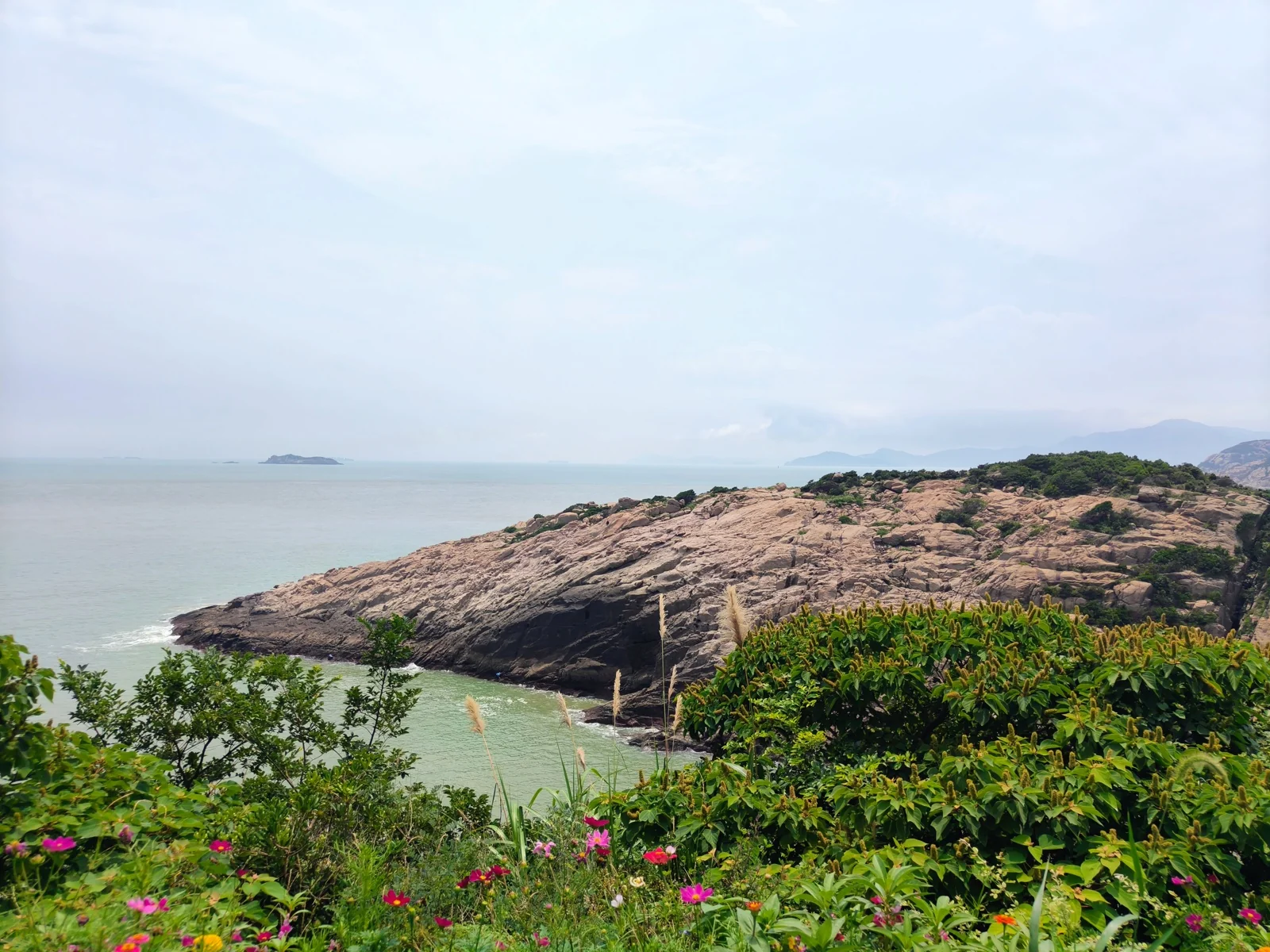 大青山沿海的礁石与碧海，近景野花盛开
