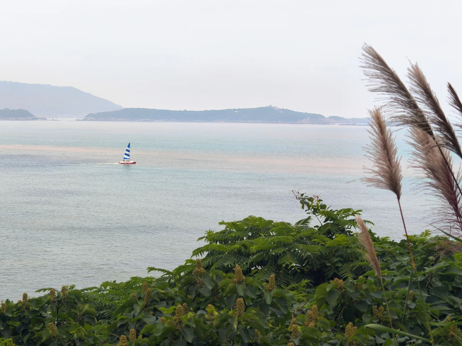 大青山海域的帆船，周围是开阔的海面与远山