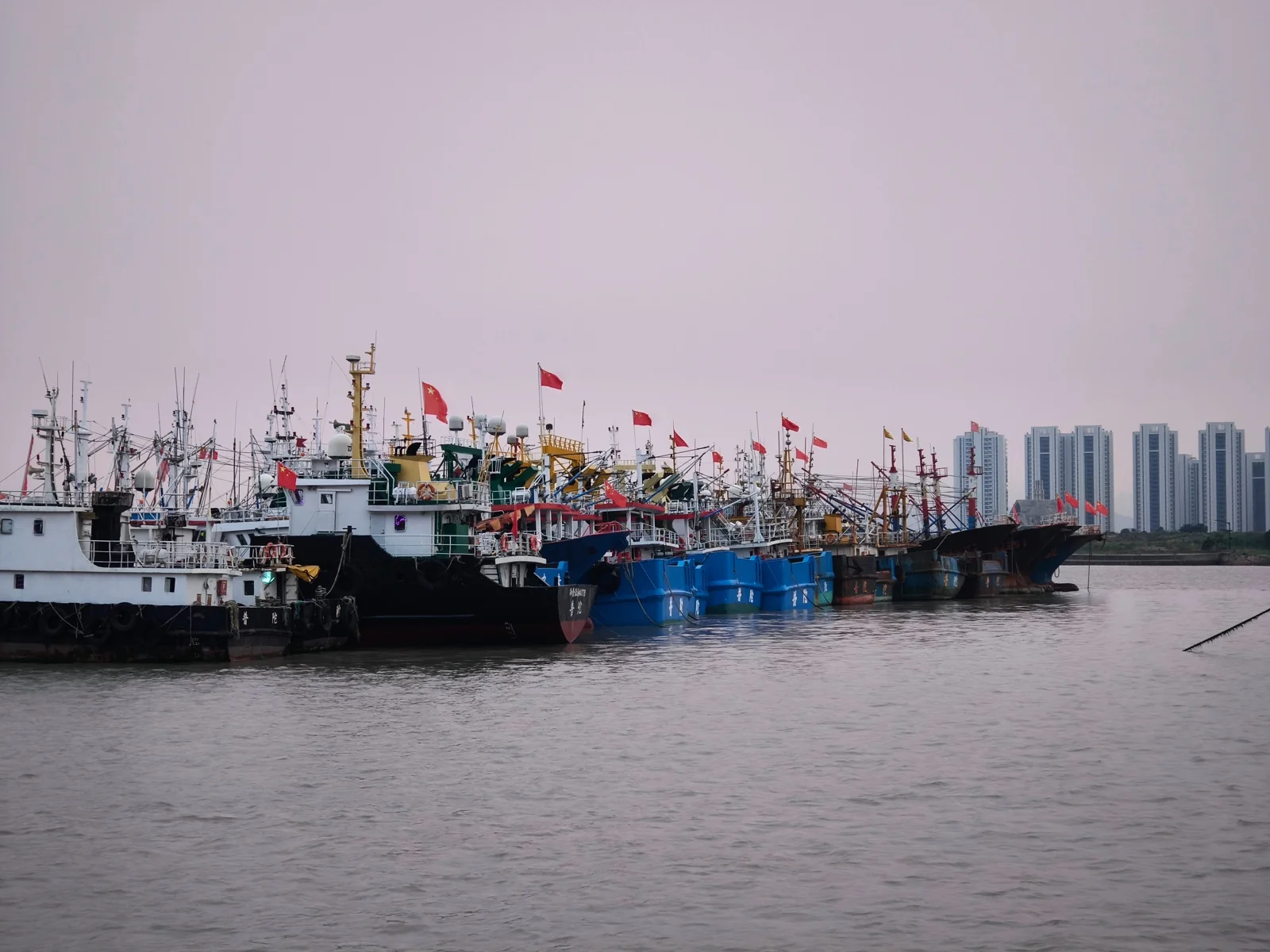 沈家门渔港停靠的渔船群，背景是沿海城市建筑