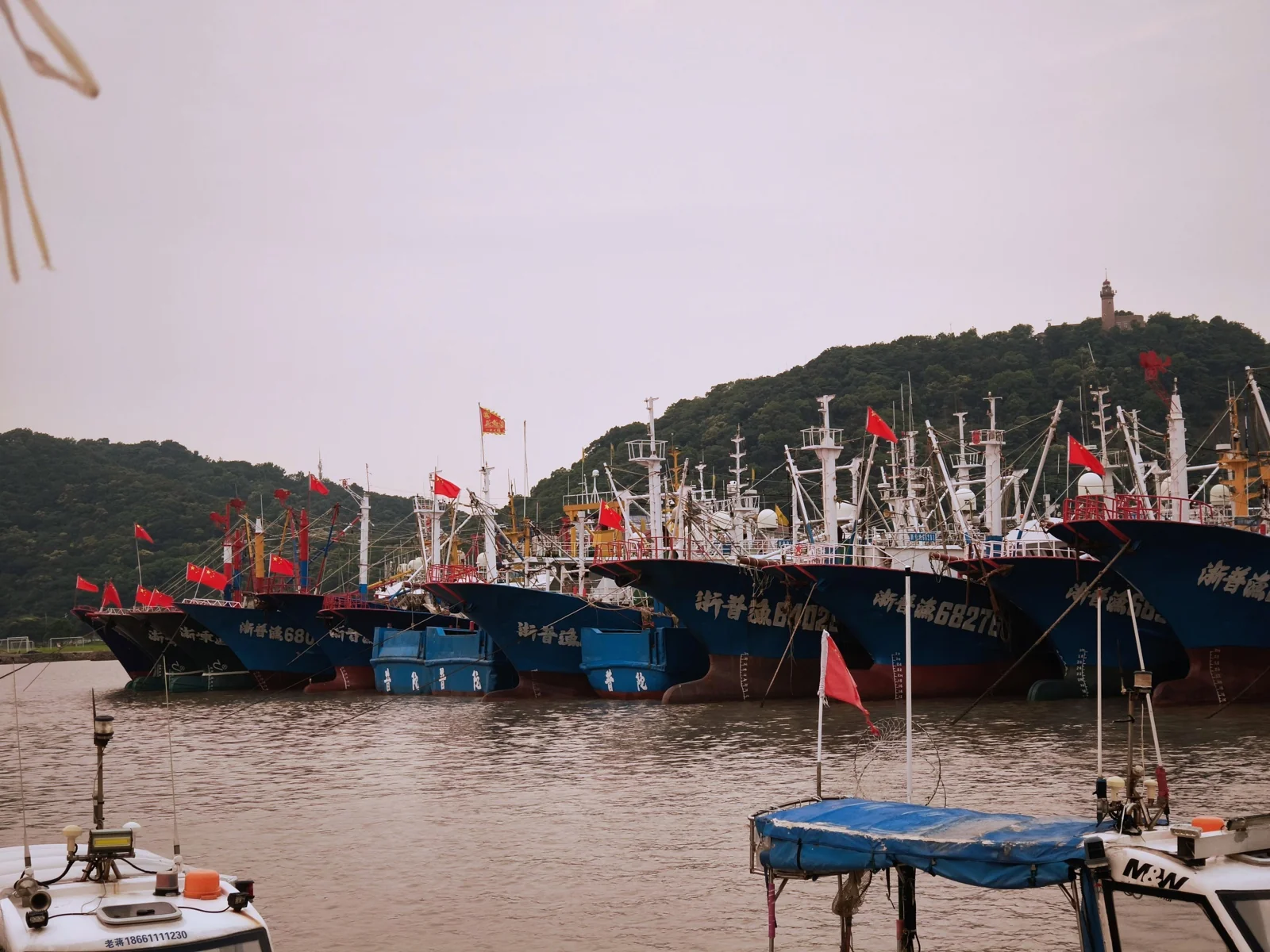 沈家门渔港停泊的渔船，桅杆林立