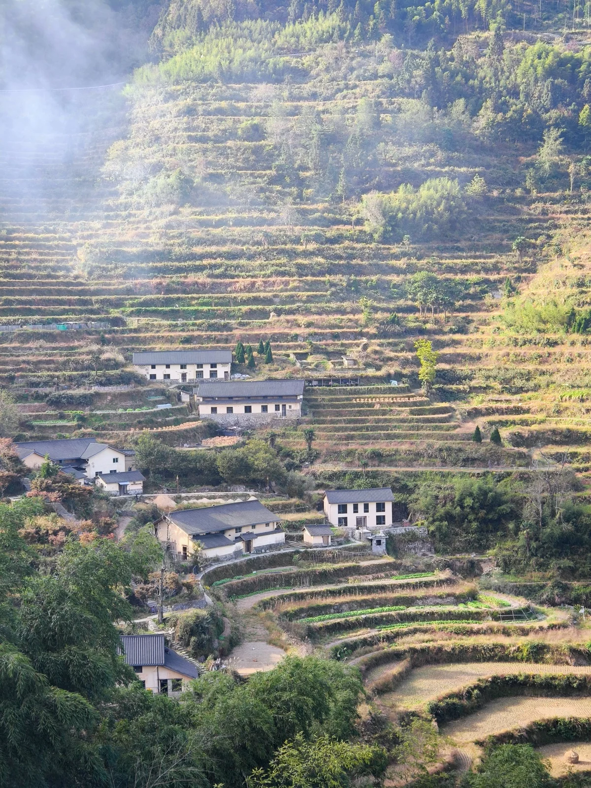 梯田环抱中的几幢白墙黑瓦民房，田间小路交错