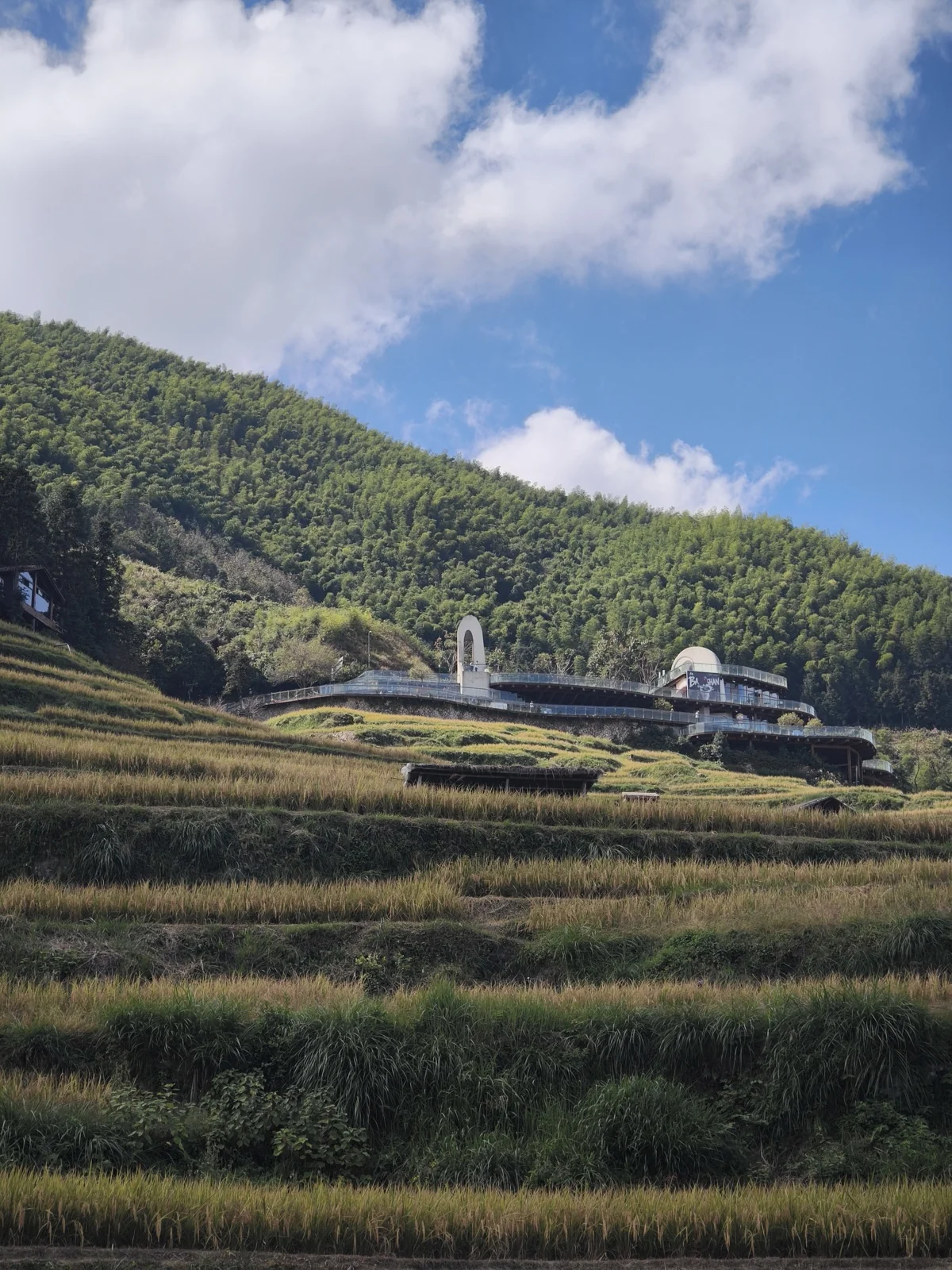 梯田顶端的现代观景建筑，白色曲面屋顶贴着山脊
