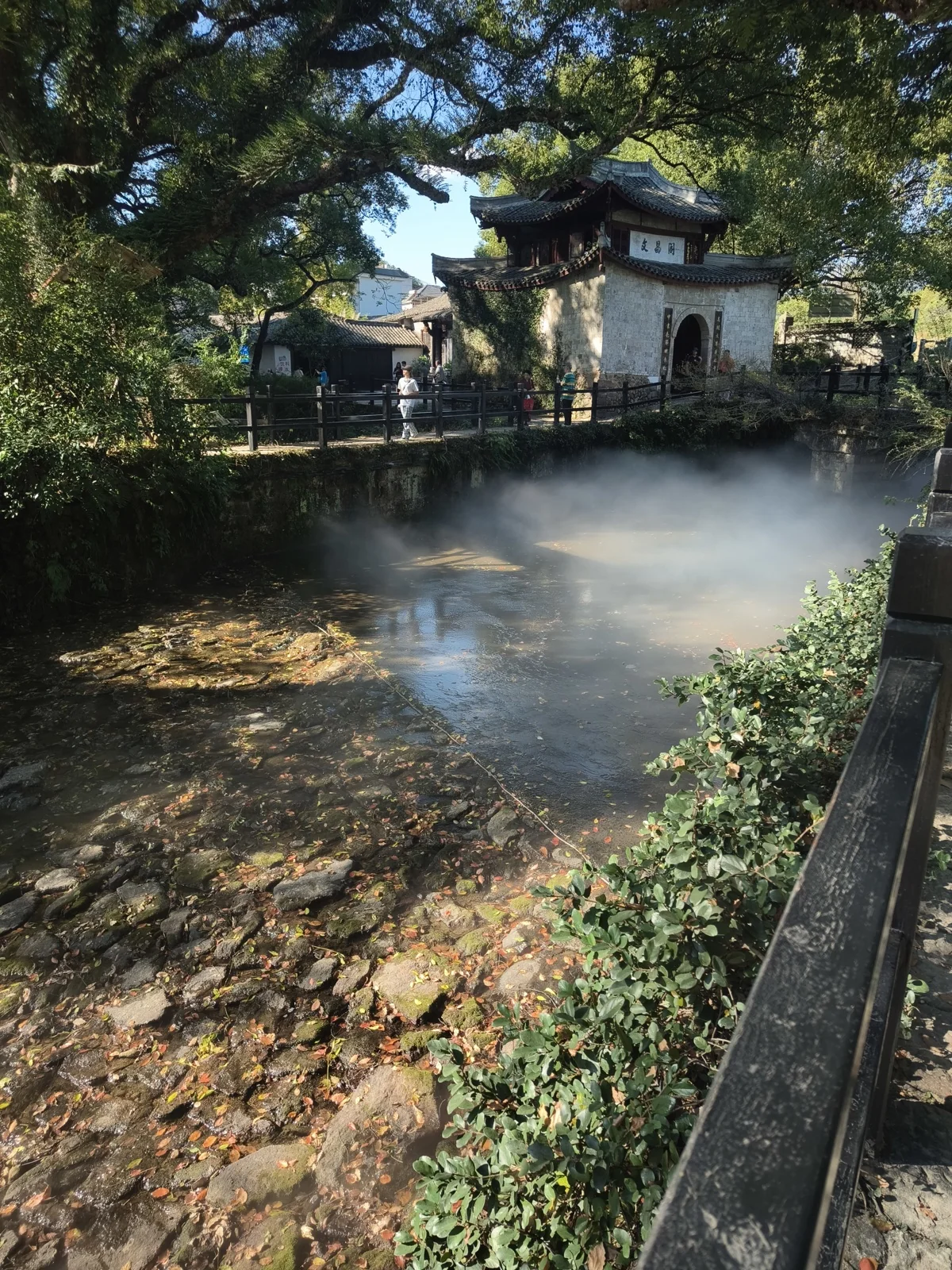 古樟下的小溪与石阶，溪水上有细流落下的白色水花