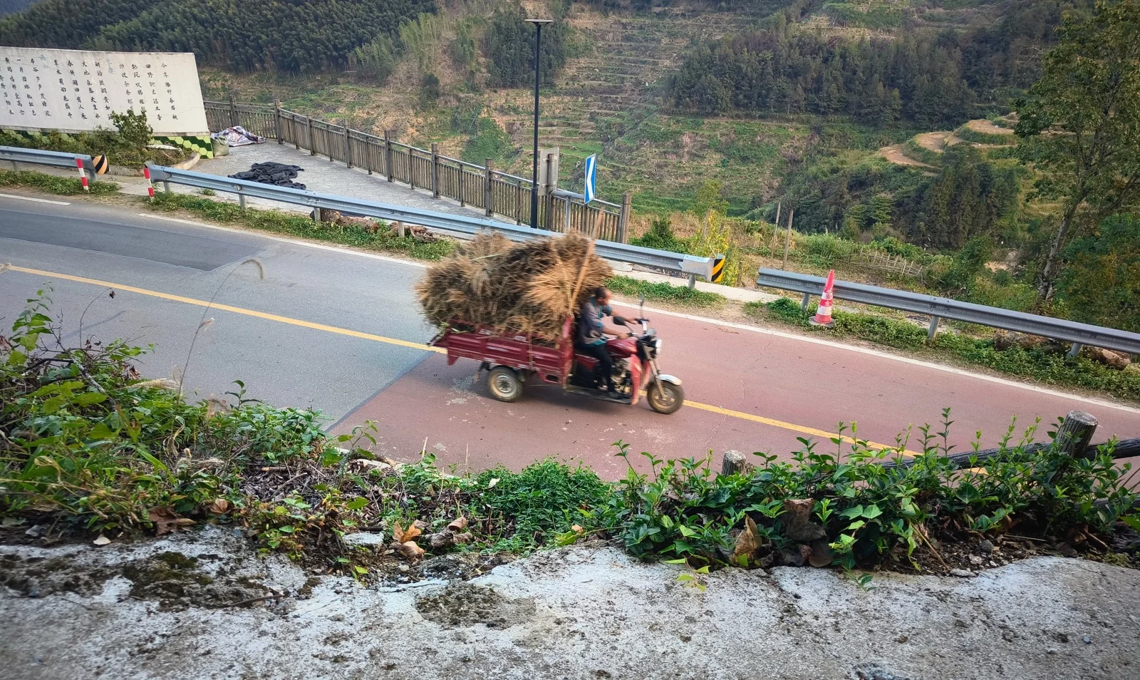 公路上，一辆三轮摩托载着大捆竹枝驶过，路边是梯田