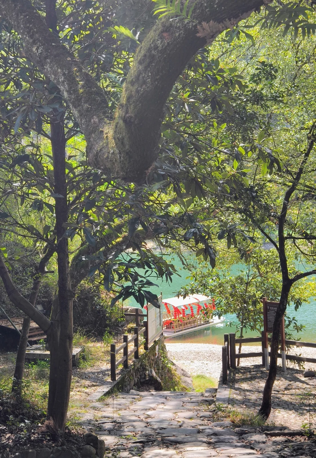 林间石阶通向溪边，尽头泊着挂红灯笼的竹筏