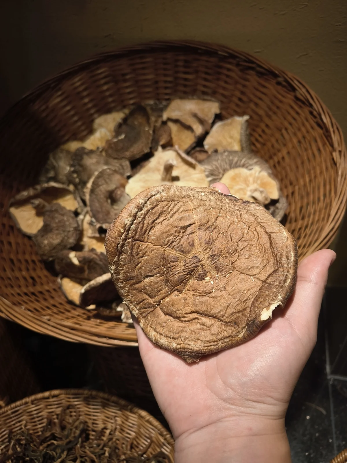 一只手举着一朵巴掌大的干香菇，下方是一筐同样的干货