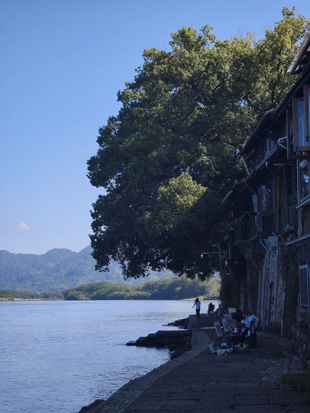 江边步道旁的大树遮出浓荫，几个人坐在岸边石阶上